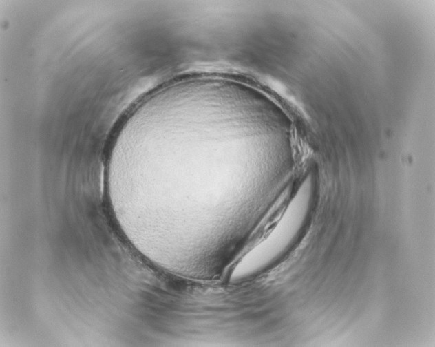 X0000088841221200706281813