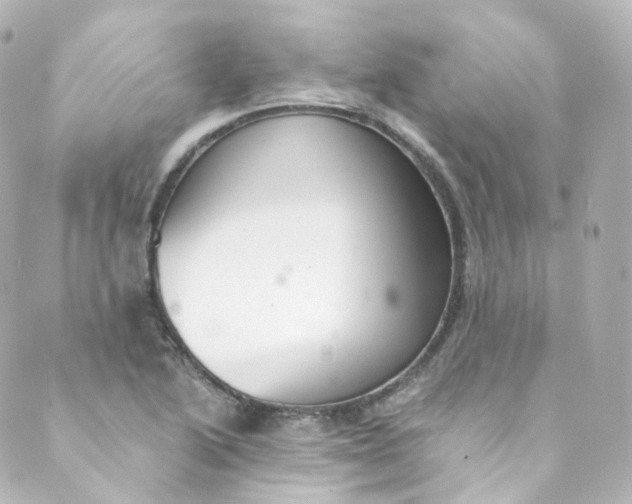 X0000088841222200706281813