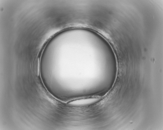 X0000088841223200706281813