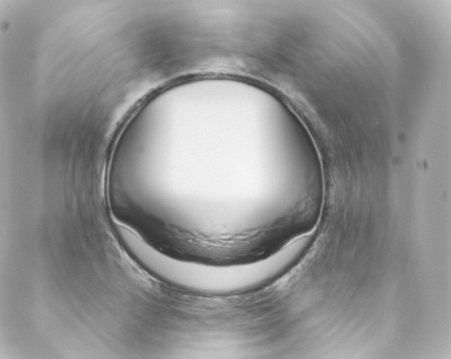 X0000088841224200706281813