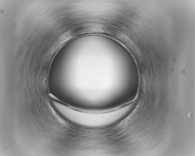 X0000088841225200706281813