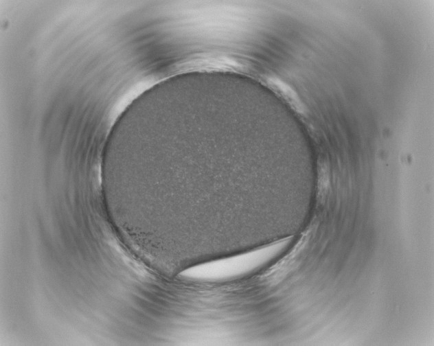 X0000088841226200706281813