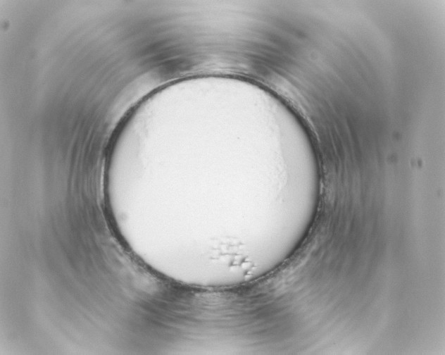 X0000088841227200706281813