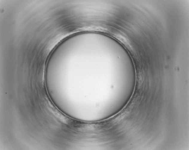 X0000088841228200706281813