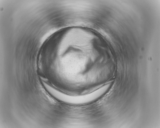 X0000088841230200706281813