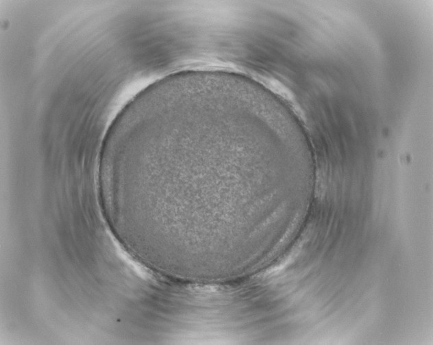 X0000088841231200706281813