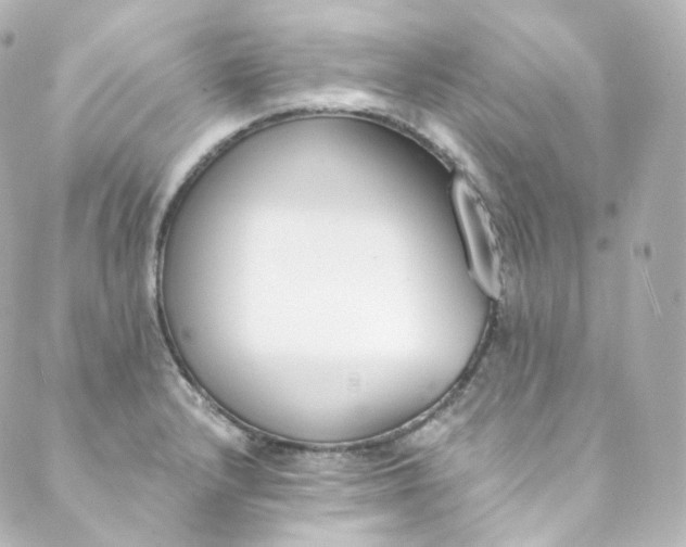 X0000088841232200706281813