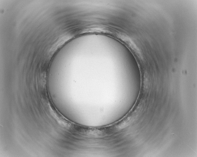 X0000088841233200706281813