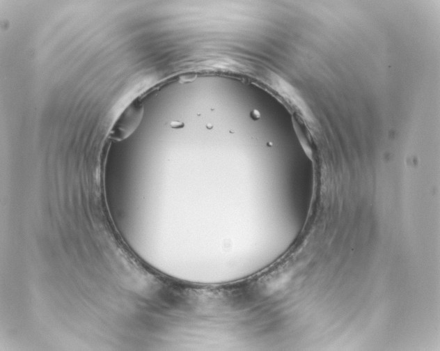 X0000088841234200706281813