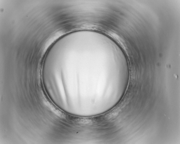 X0000088841235200706281813