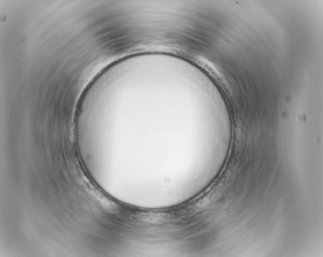 X0000088841236200706281813