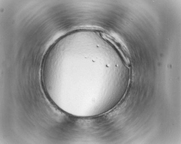 X0000088841237200706281813