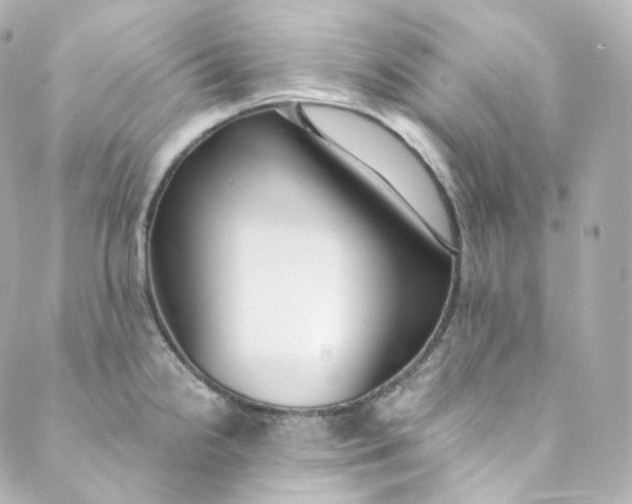 X0000088841238200706281813