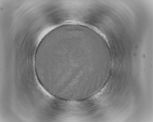 X0000088841239200706281813