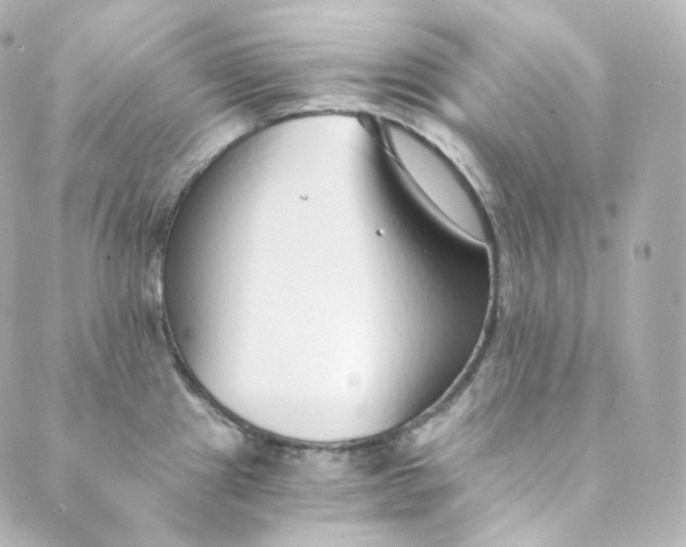 X0000088841241200706281813