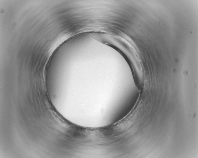 X0000088841242200706281813