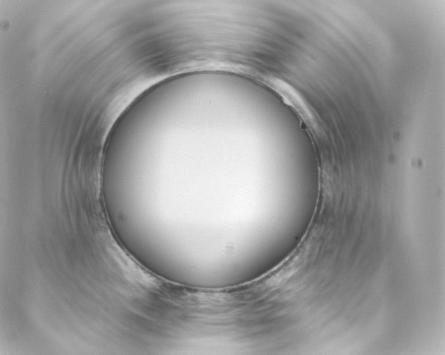 X0000088841244200706281813