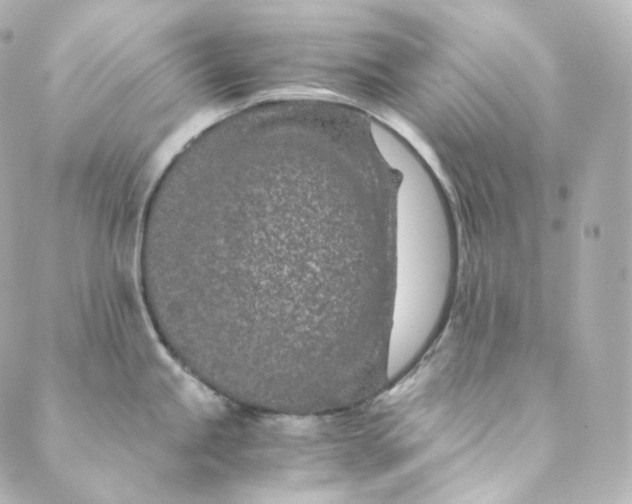 X0000088841245200706281813