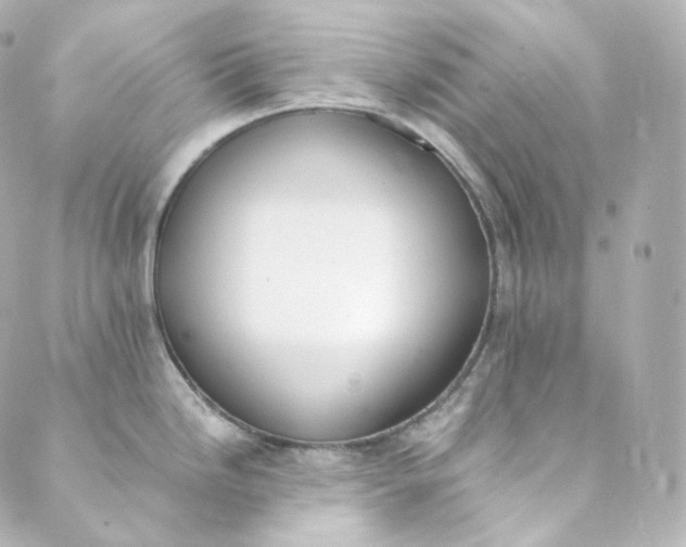 X0000088841246200706281813