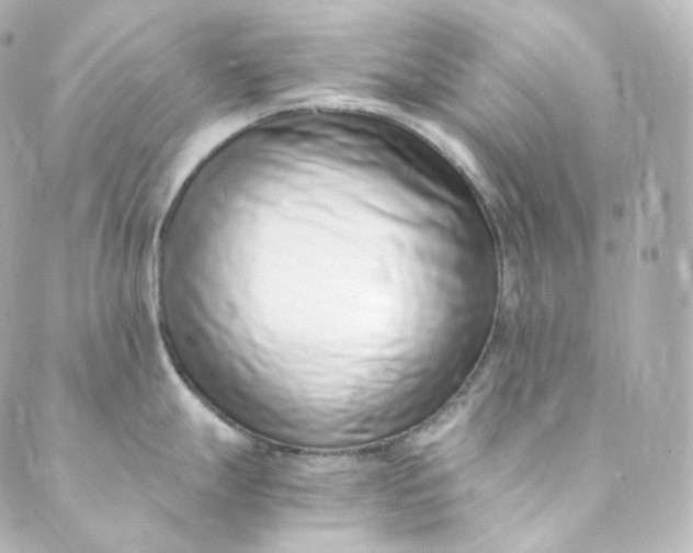 X0000088841247200706281813