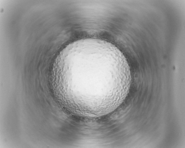 X0000088841249200706281813