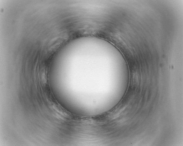 X0000088841250200706281813