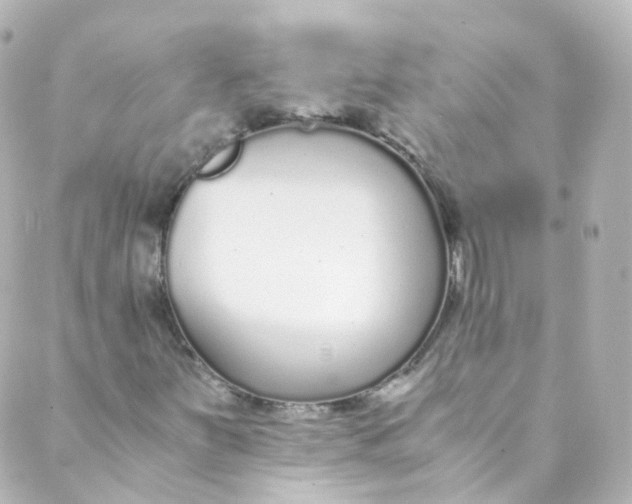 X0000088841251200706281813