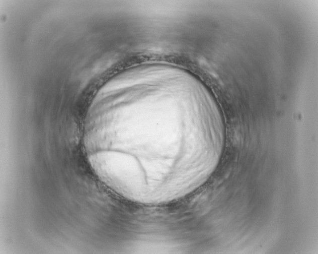 X0000088841253200706281813