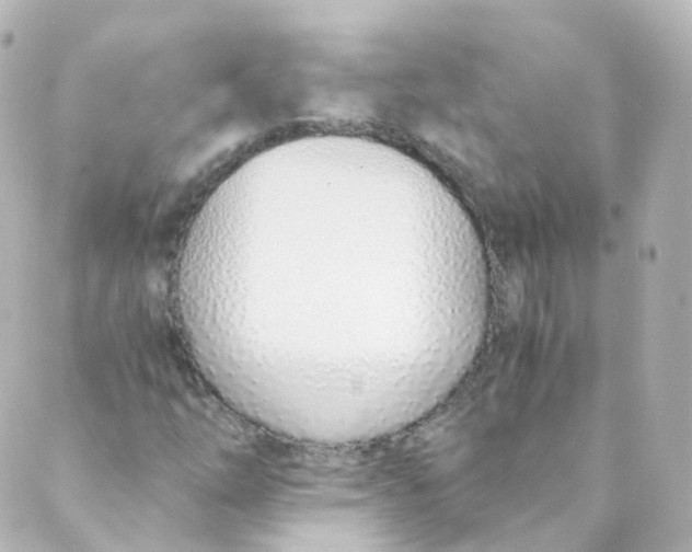 X0000088841254200706281813