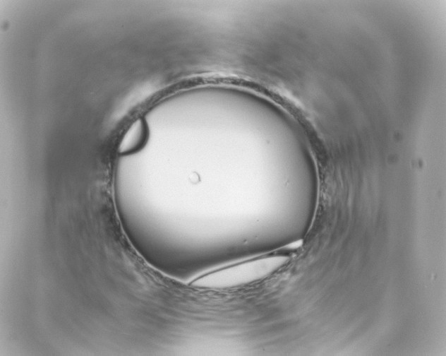 X0000088841255200706281813