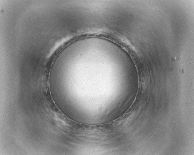 X0000088841256200706281813