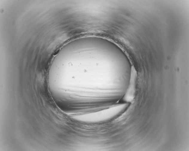 X0000088841257200706281812