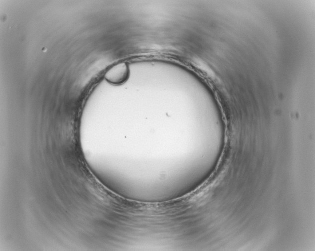 X0000088841259200706281812