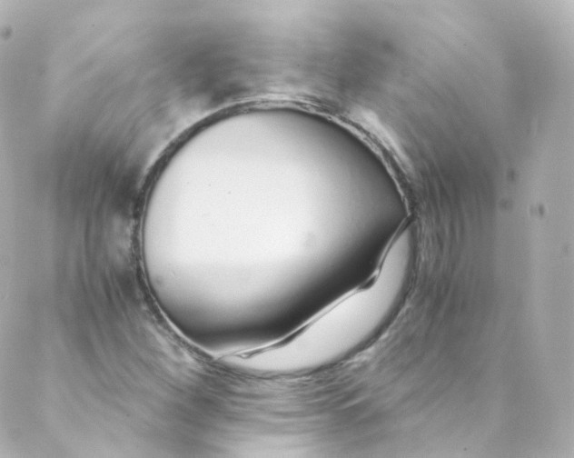 X0000088841260200706281812