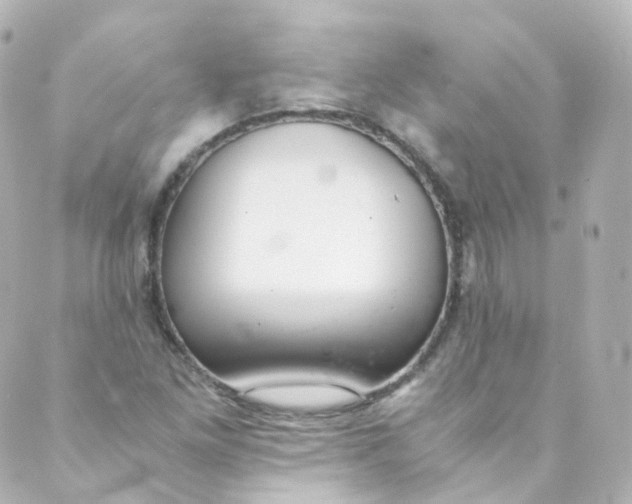 X0000088841261200706281812