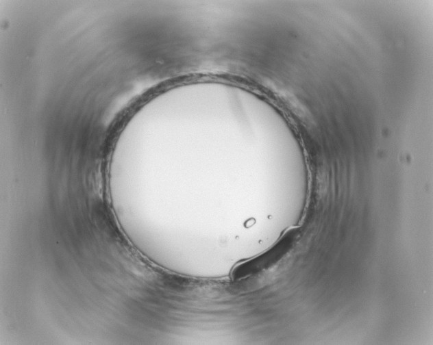 X0000088841262200706281812