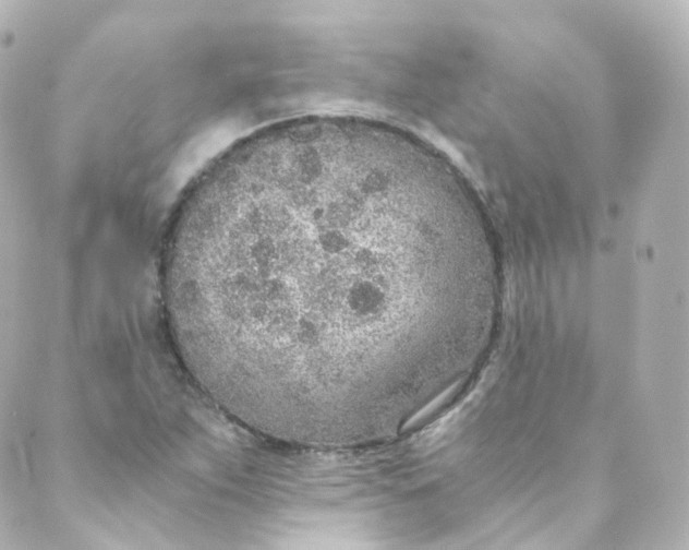 X0000088841263200706281812