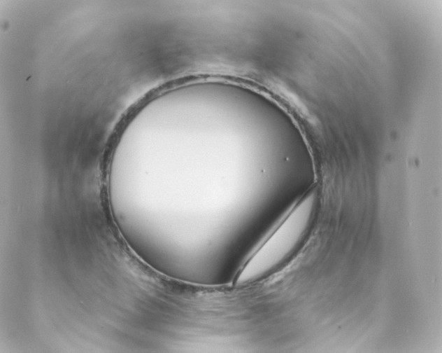 X0000088841264200706281812