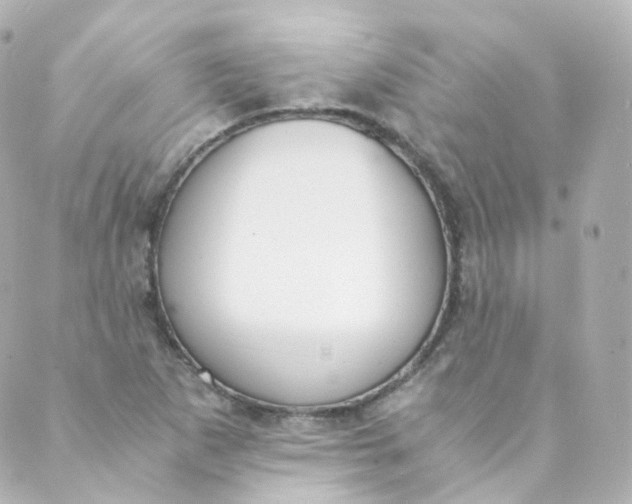 X0000088841265200706281812