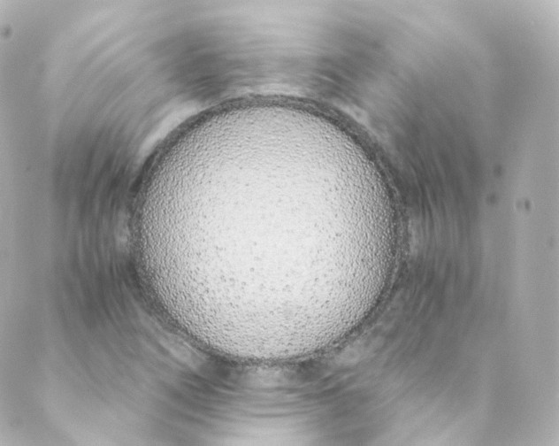 X0000088841266200706281812