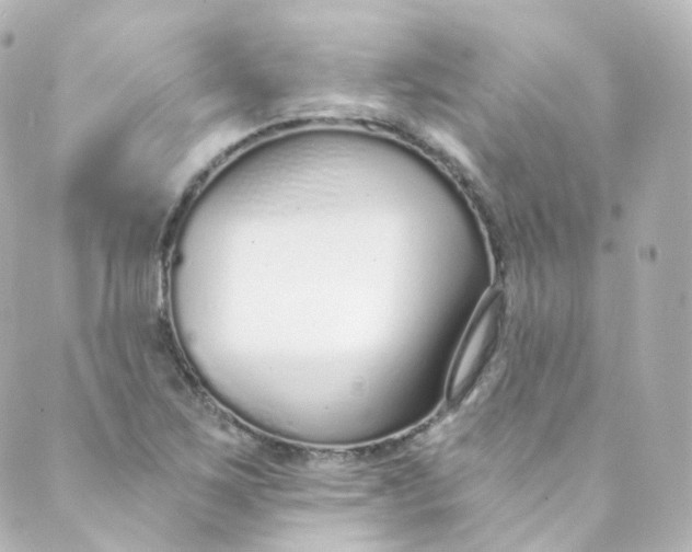 X0000088841267200706281812