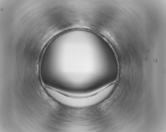 X0000088841268200706281812