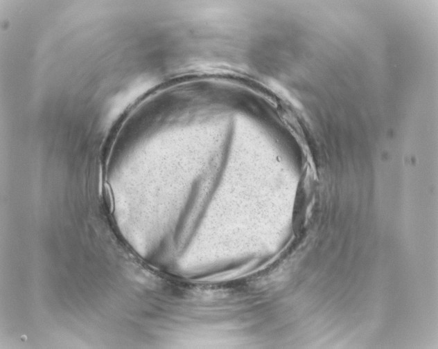 X0000088841269200706281812