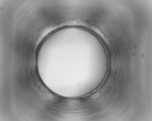 X0000088841270200706281812