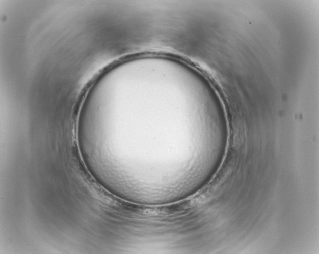 X0000088841271200706281812