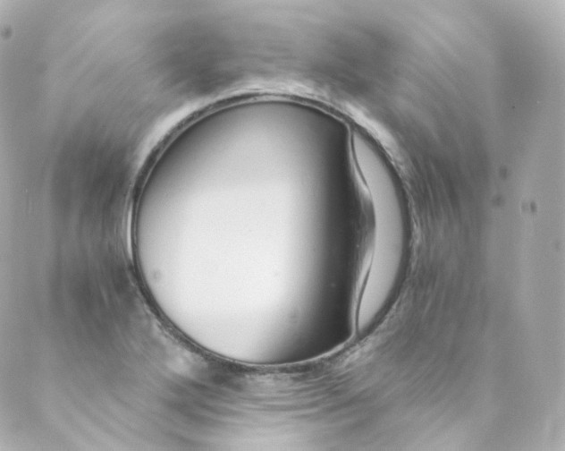 X0000088841272200706281812