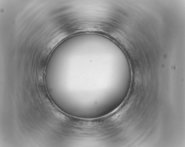 X0000088841273200706281812