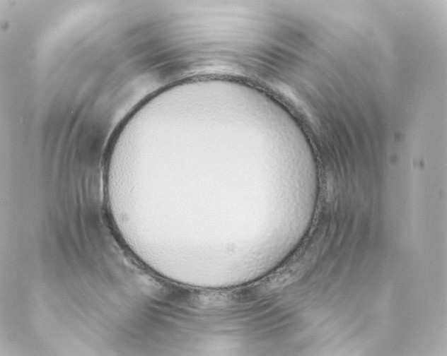 X0000088841274200706281812