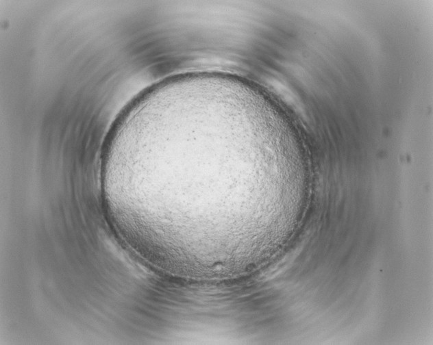 X0000088841275200706281812