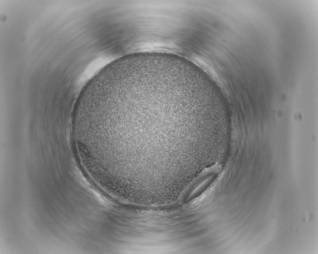 X0000088841277200706281812